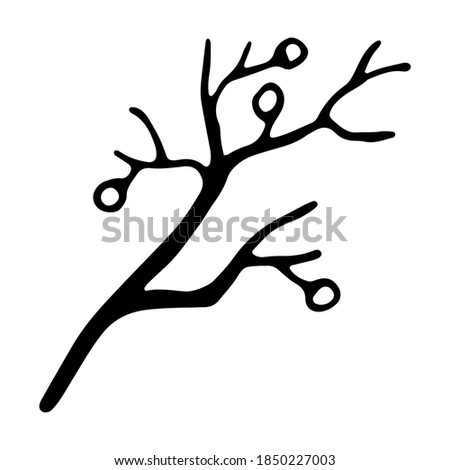 Hand drawn branch without leaves isolated on white