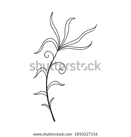 Art foliage natural leaves herbs in line style. Decoration element for design invitation, wedding cards, valentines day.