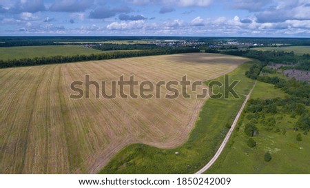 Mown field in June rural landscape (aerial photography). Leningrad region, Russia