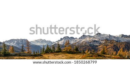 Landscape with trees and snowy mountains isolated on white background