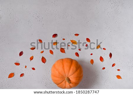 Autumn composition with autumn leaves and pumpkin on grey background. Thanksgiving day concept. Flat lay, top view, copy space