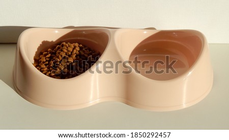     double pet food bowl with dry food                           