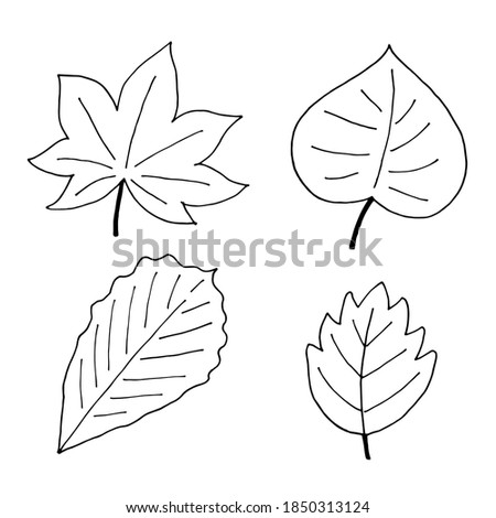 Set of autumn elements, hand drawn doodle style illustrations. Four different colorful leaves. Black objects isolated on white board. Vector illustration. Good for print, cards, design, decor, web
