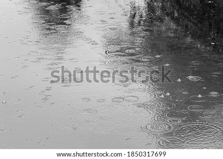 Raindrops falling into a puddle and leaving circles on the water. Rainy background.