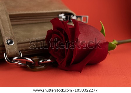 Red rose and women's elegant bag close-up on a red background