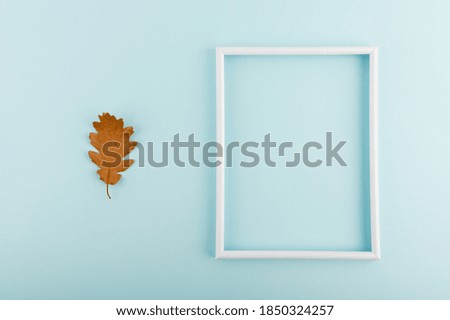 Minimal concept in autumn theme. Flat lay photography of leaves and the frame on light blue and trendy backdrop.