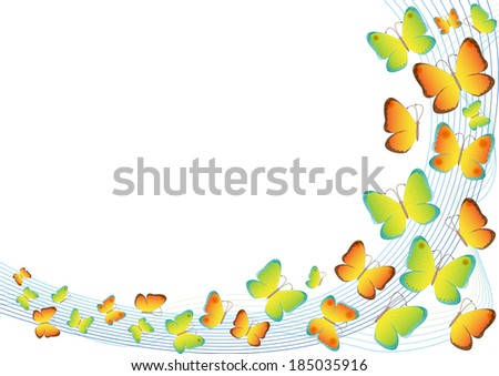 Many different butterflies flying, on curves background vector illustration
