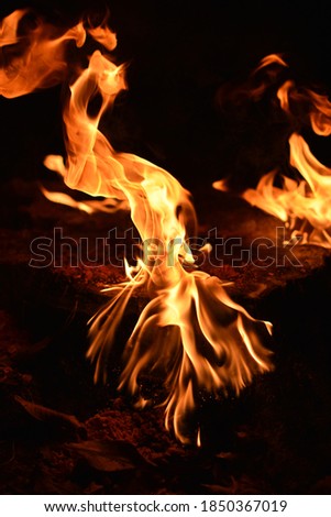 close up pictures of fire and flames.