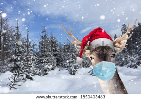 Reindeer with face mask in winter