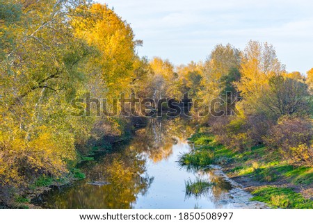 View of the banks of the Orel River. Yellow leaves on the trees. Autumn sunny weather. Petrikovka, Ukraine.
