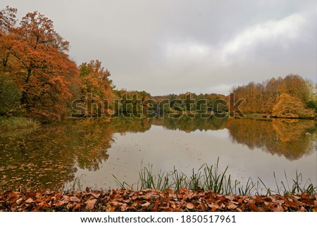 Beautiful autumn colors by the lake