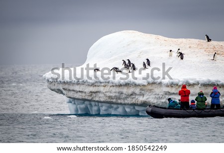Photographers take pictures of adele penguins on floating iceber