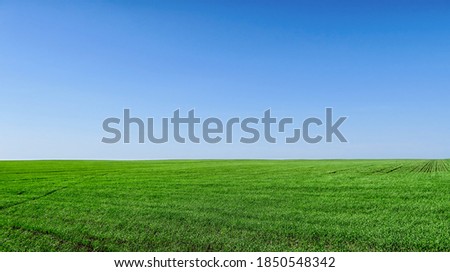 Flat green grass, lawn against a large blue sky on a Sunny day. Wide view of the countryside. Natural background of green grass, fresh juicy shot. Royalty-Free Stock Photo #1850548342