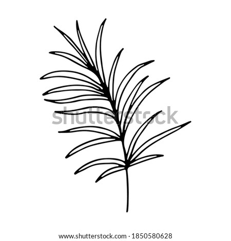 Art foliage natural leaves herbs in line style. floral flower hand drawn doodle icon for social media story. Hand drawn wedding herb, plant