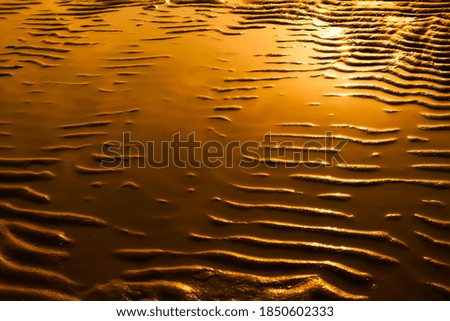 Curvy golden beach water reflex direct sun