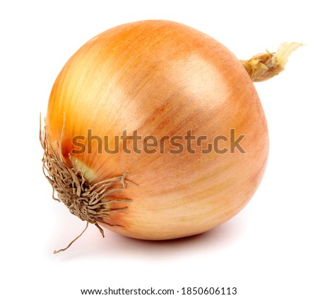 The golden bulb of the ripe onion is isolated on a white background. Royalty-Free Stock Photo #1850606113