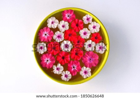 Different colored flower mandala on floating on water plate made of fresh flowers. Floral background with nature flowers. Flower mosaic
