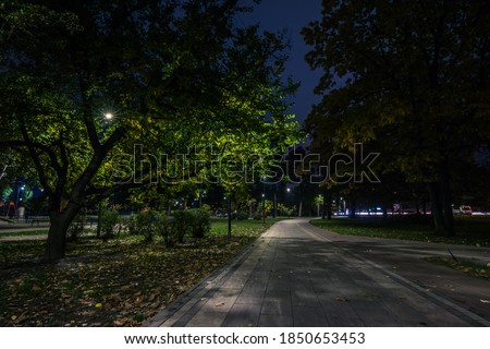 The teiled road in the night park with lanterns in autumn. Benches in the park during the autumn season at night. Illumination of a park road with lanterns at night. Park Kyoto