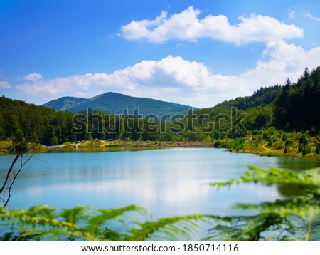 Picture of a lake and mountains through branches and leaves