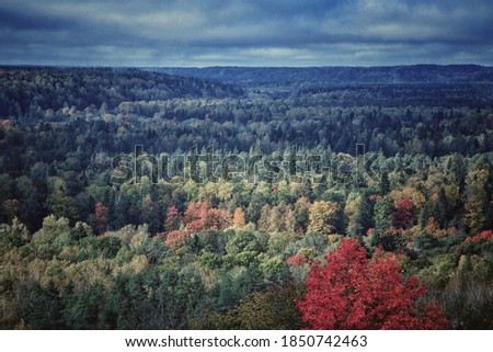 Autumn in the Gauja National Park, Latvia, Baltic States, Europe