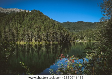 lake view in the alphs in austria at fernsteinsee