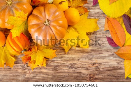 Festive autumn decor from pumpkins and leaves on wooden desk