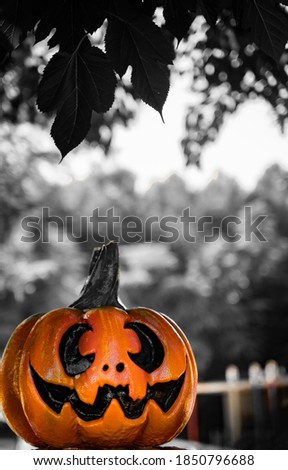 A vertical shot of pumpkins with a grayscale background
