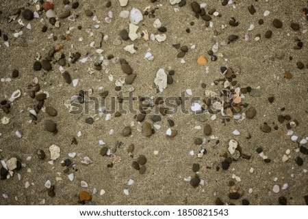sea rocks on the sand beach Royalty-Free Stock Photo #1850821543