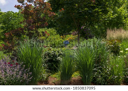 A Chicago backyard on a sunny spring day bursting with many different three season specimens including royal purple smokebush, autumn blaze maple, blue catmint, northwind ornamental grass and  Royalty-Free Stock Photo #1850837095