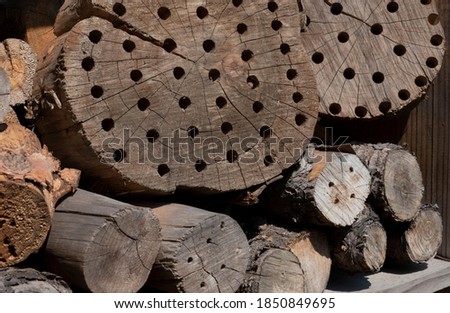 
Pile of  wooden logs in bright sunligth