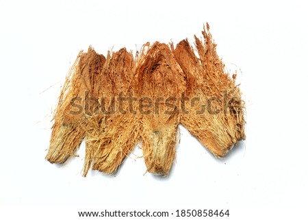 Coconut coir on white background