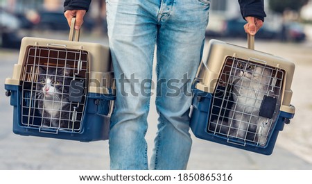A man is transporting his cat's in a special plastic cage or pet travel carrier to a veterinary clinic Royalty-Free Stock Photo #1850865316