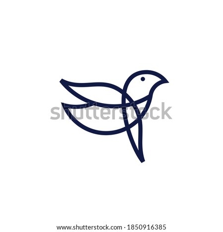 bird vector graphic illustration .
