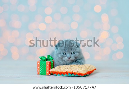 A small fluffy kitten sleeping on a wooden floor against a background of Christmas lights  next to a small wrapped present.