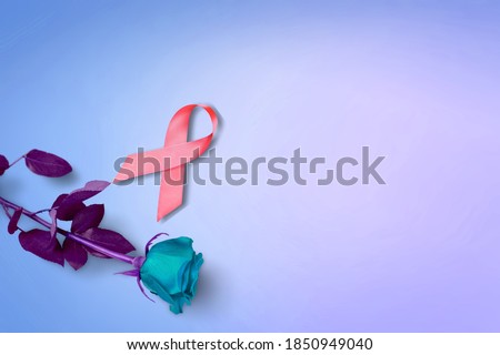 Pink ribbon and rose on pastel background. Breast cancer awareness month concept