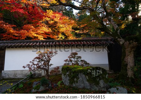 Really love the color of Momiji when exposed to sunset light. This picture I took when visiting Nanzenji Temple in Kyoto