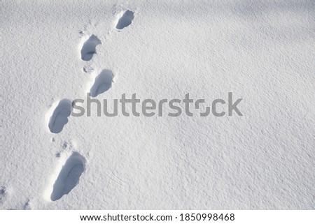 The texture of the snow. Winter rainfall. Tracks on a snowy road after snowfall.