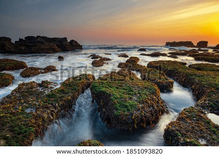Amazing seascape. Ocean with moving wave. Low tide. Stones covered by green moss and seaweeds. Concept of nature background. Sunset scenery. Long exposure. Soft focus. Mengening beach, Bali, Indonesia