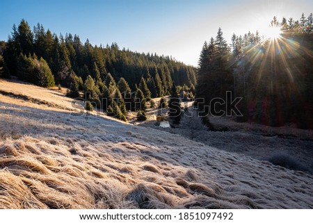 Sunrise over the frozen valley, stream with trees in autumn colors, bohemian forest