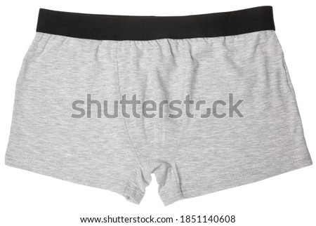 Pair of grey boxer briefs or trunks men's underwear isolated on a white background Royalty-Free Stock Photo #1851140608
