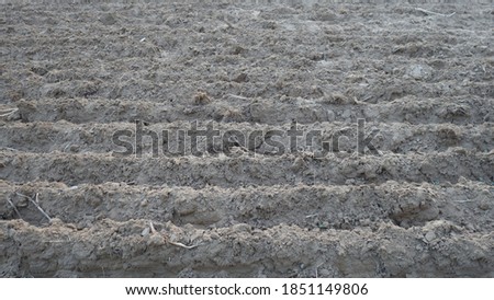 Freshly plowed field ready for seeding and planting in spring. Farmland under the sky. Agriculture. Brown black soil near village.