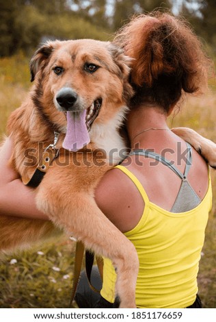girl hugs a red dog in a clearing, pet