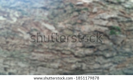 blur background abstract texture of bark or tree bark
