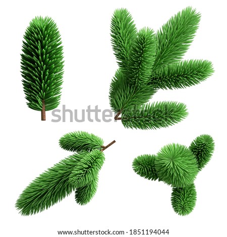 3d render, collection of green Christmas tree branches. Set of spruce twigs elements, festive natural clip art isolated on white background,