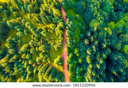 Straight down view of the mountain forest with old country road at sunrise. Fantastic morning scene of countryside. Beauty of nature concept background.