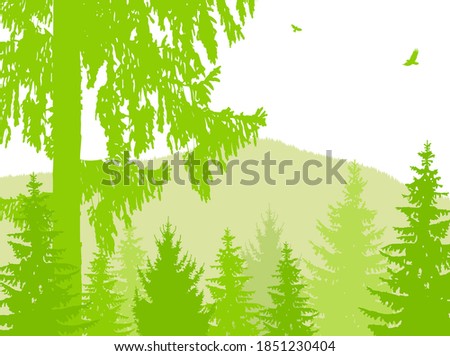 Landscape of coniferous forest. Eco banner. Green and white tones.