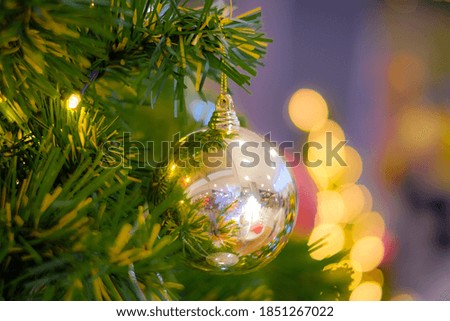 Christmas decorations in pine trees