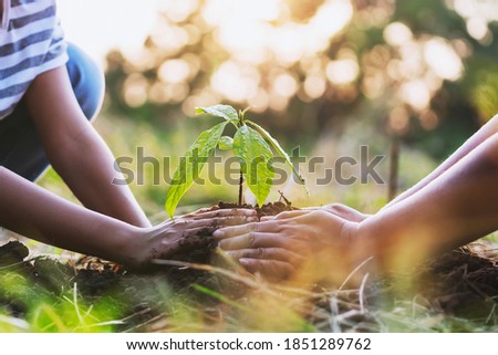 mother with children helping planting tree in nature for save earth. environment eco concept Royalty-Free Stock Photo #1851289762
