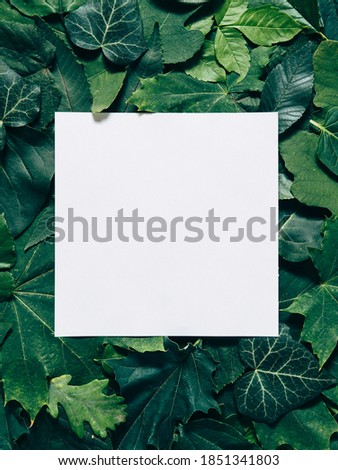 Green leaves with paper card note