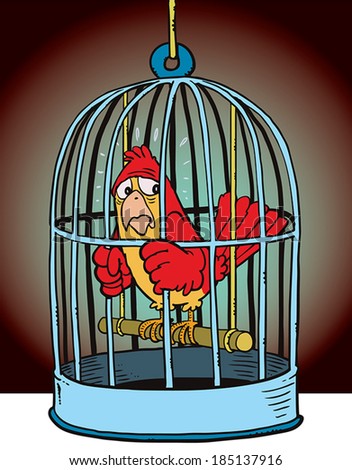 The bird in the cage